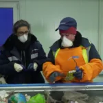 Сортировка вторсырья цена